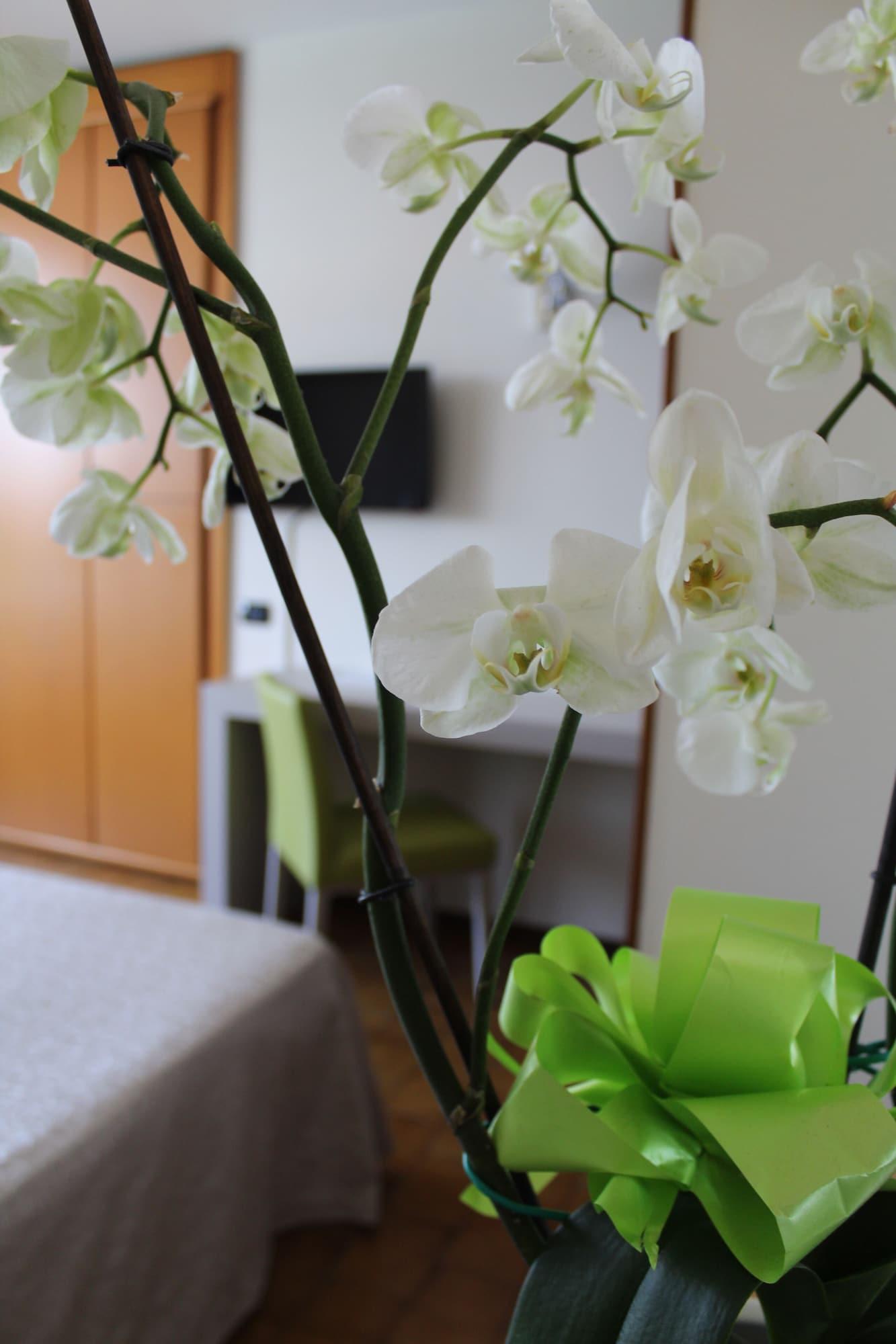 โฮเทล เรสซิเดนซ์ ฮอลิเดย์ Aparthotel ซีร์มิโอเน ภายนอก รูปภาพ